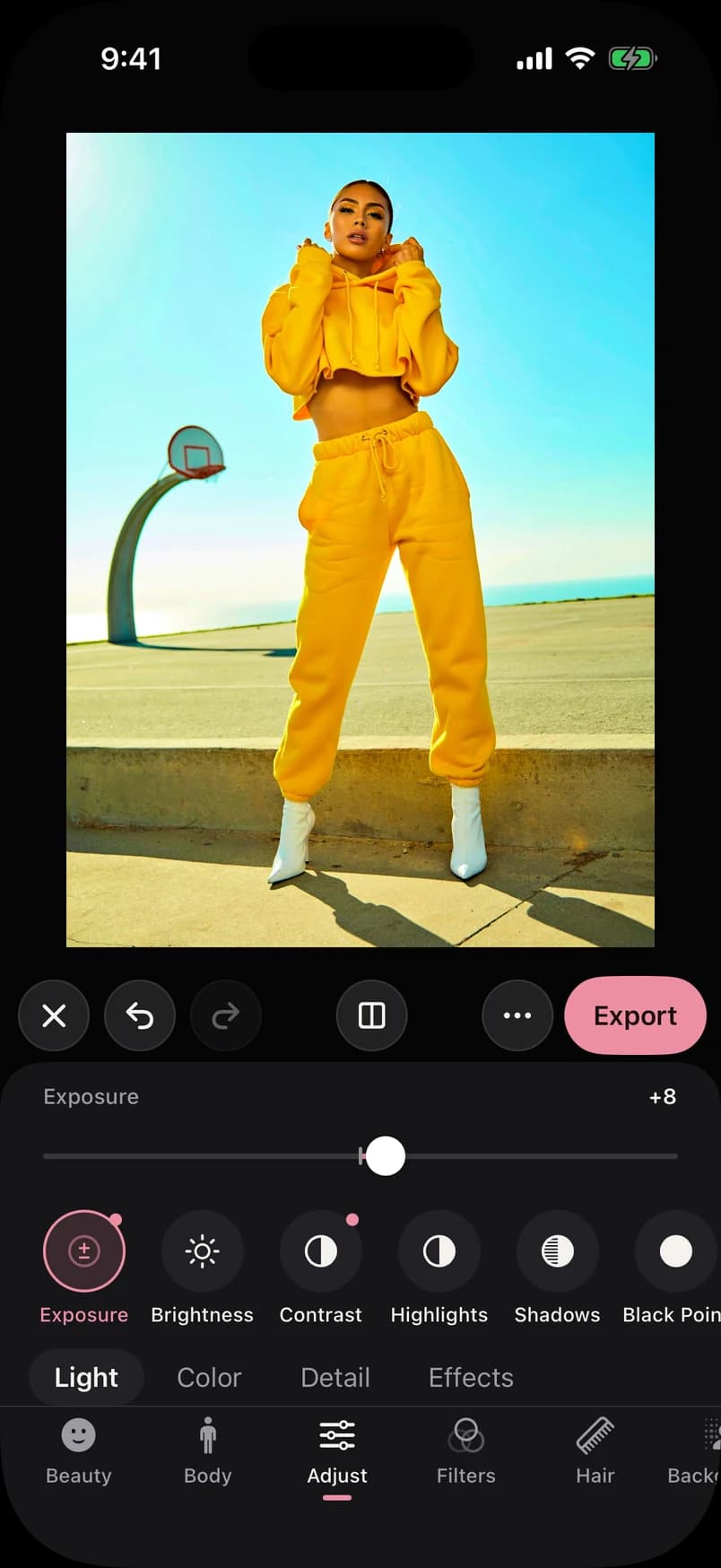 CamCam pro adjustment controls